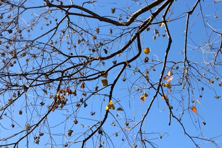 1678839206265007969.jpg 12.jpg